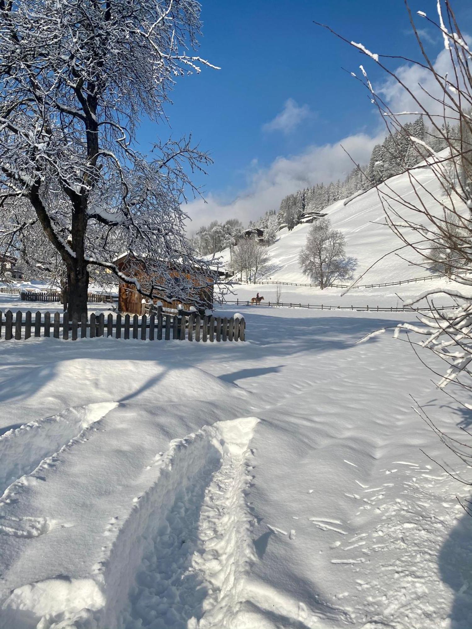Gasthof Neumeister Stumm Bagian luar foto